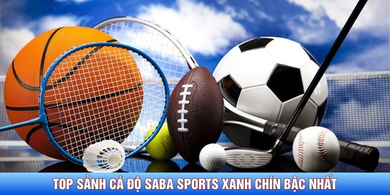 Top sảnh cá độ Saba Sports xanh chín bậc nhất